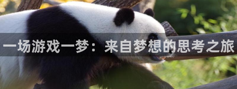杏耀测速|杏耀代理