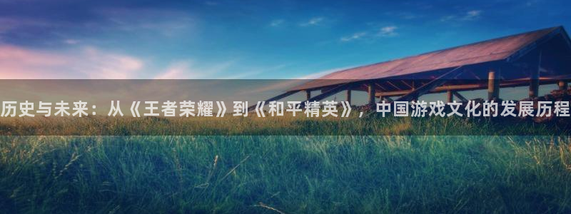 杏耀登录网：历史与未来：从《王者荣耀》到《和平精英》，中国游